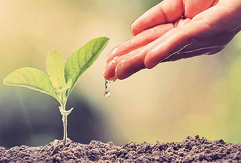 Ministério da Agricultura recebe projetos de agropecuária sustentável