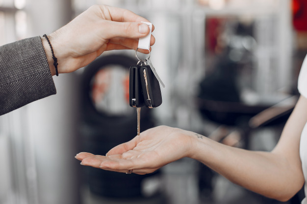 Empreendedores da região Sul do País apresentam negócio inusitado