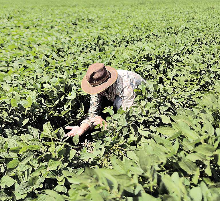Desembolsos do crédito rural têm aumento de 15% em Minas Gerais