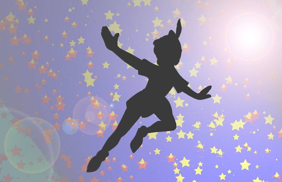 A síndrome de Peter Pan na disfunção tributária
