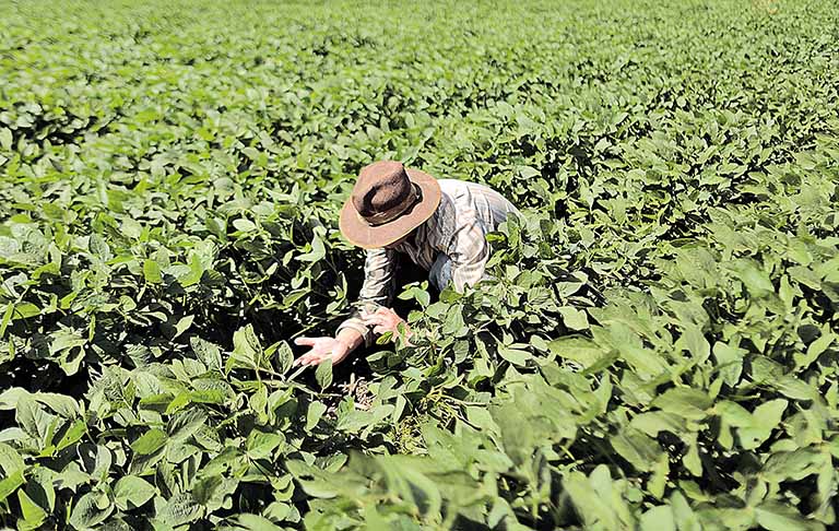 País vai monitorar de perto seguro rural