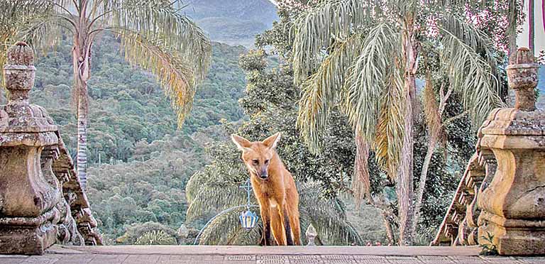 Estado capacita empresas do Turismo