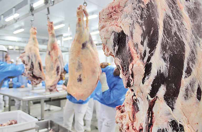 Balança do agronegócio em Minas tem superávit de US$ 4,5 bilhões