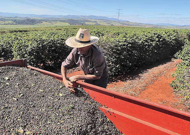 Desembolsos do crédito rural avançam quase 50% no Estado no 1º mês de safra