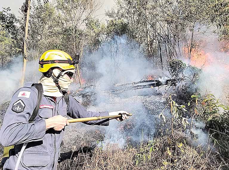 Amif lança campanha para prevenir incêndios florestais