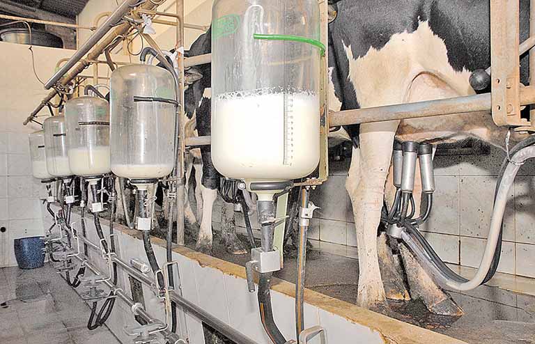 Preço pago ao produtor sobe 16% em Minas
