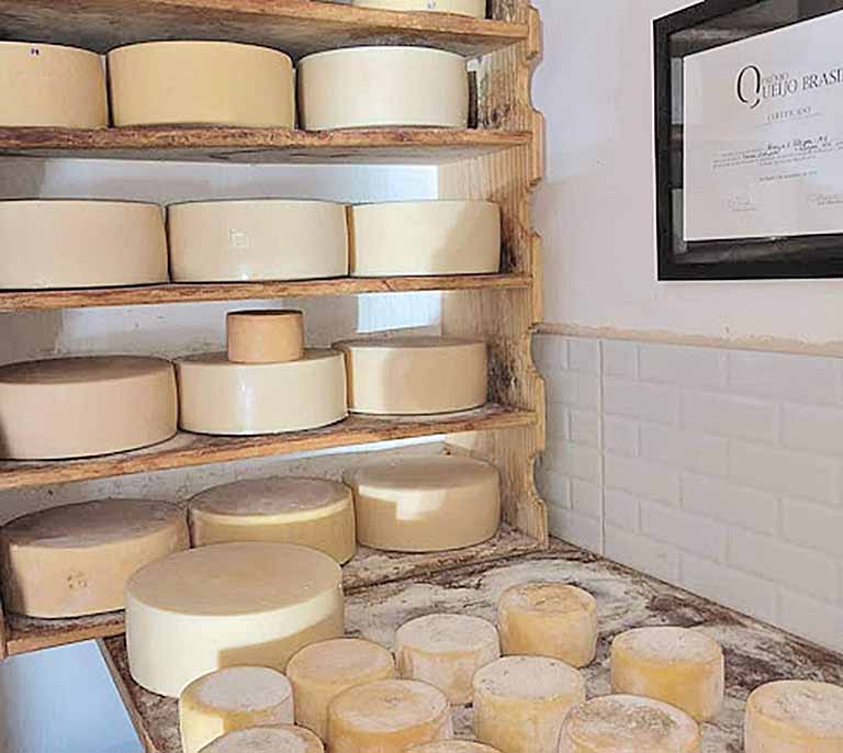 Queijo d’Alagoa retoma as vendas na loja física com demanda em alta