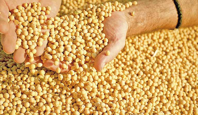 Declarações de produtores mineiros superam expectativa