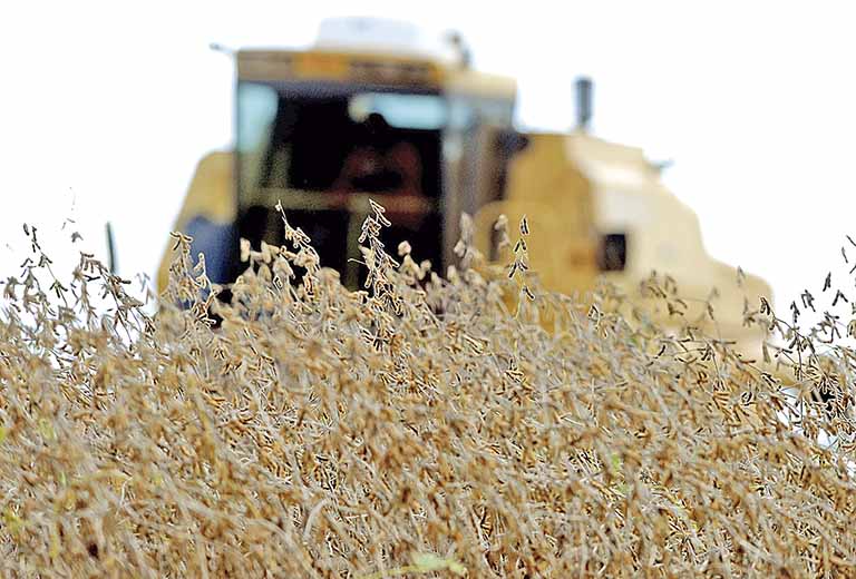 VBP nacional em 2022 é calculado em R$ 1,241 tri com ajuda de lavouras
