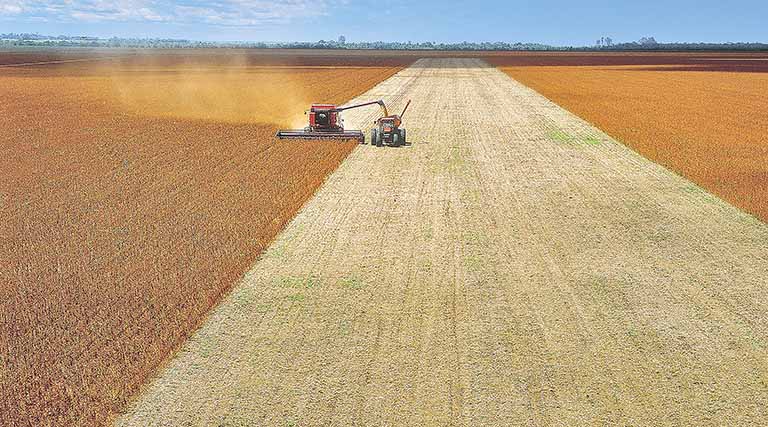 Agropecuária deve gerar R$ 82,75 bi em Minas Gerais