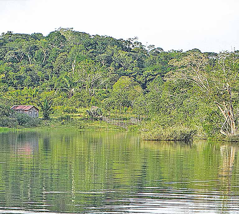 Observatório do Meio Ambiente é criado