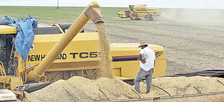 Commodities estão em patamares recordes
