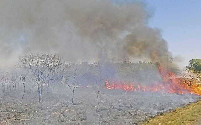 Incêndio devasta grande área do Parque de Ibitipoca