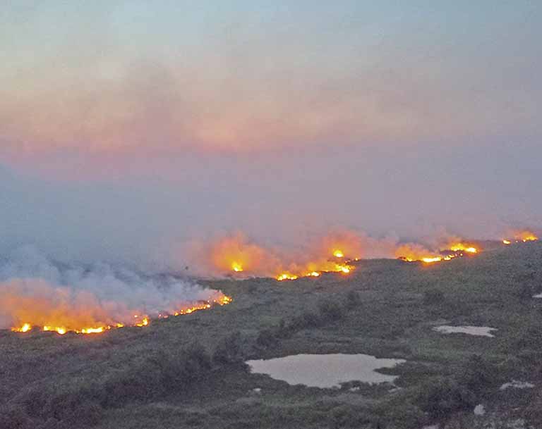 Trump suspende parceria com Brasil para prevenir incêndios florestais