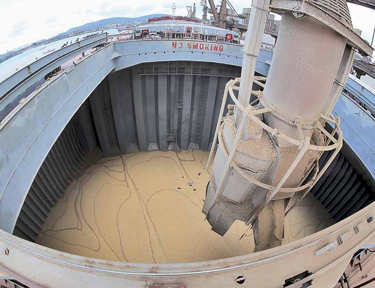 Embarques de soja do Brasil podem somar 82,5 milhões de toneladas