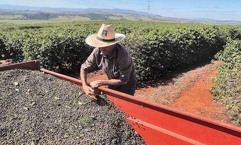 Embarques do agronegócio do Estado somam US$ 6,42 bilhões