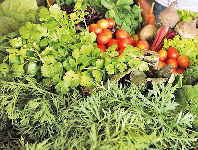 Frutas e hortaliças disparam com efeitos climáticos