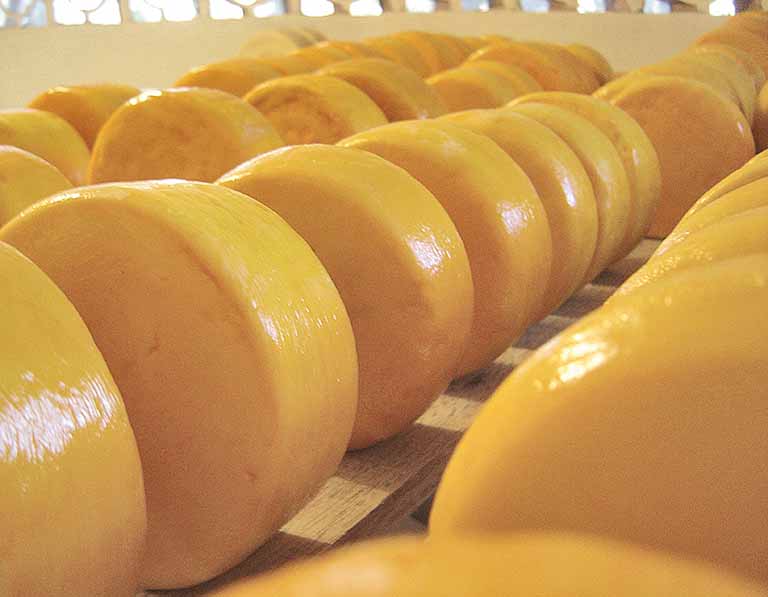 Concurso valoriza Queijo Minas Artesanal