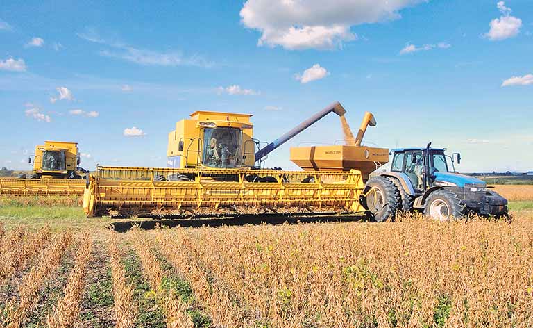 Conab e Ceasa Minas renovam acordo para apoiar setor hortigranjeiro
