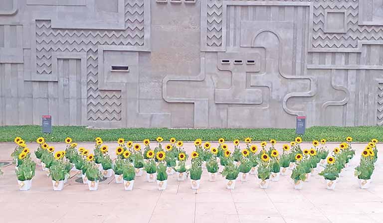 Cemig SIM inicia pré-venda de energia solar