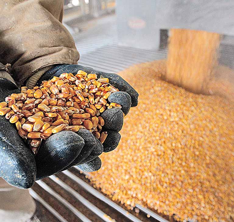 Estado ganha laboratório de umidade de grãos