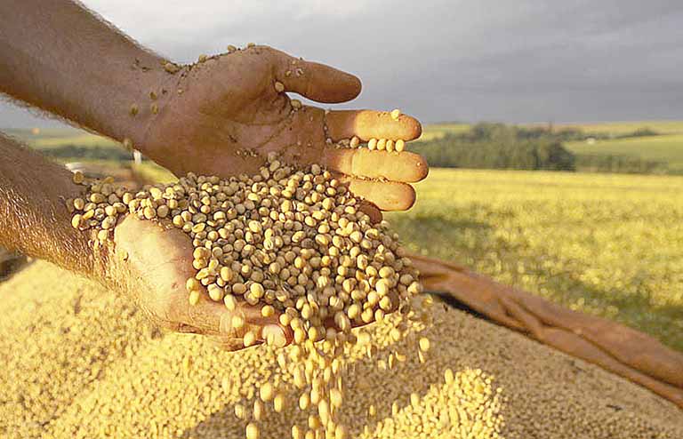 Seca faz Aprosoja rever expectativa de colheita