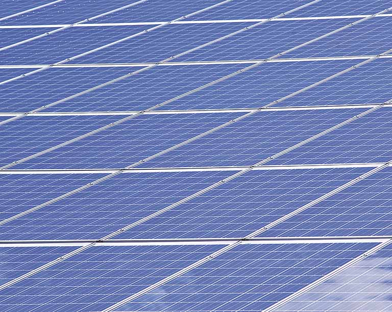Meio ambiente: projeto em Minas é selecionado no Ciclo 2020