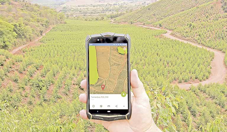 Cenibra utiliza soluções tecnológicas no campo