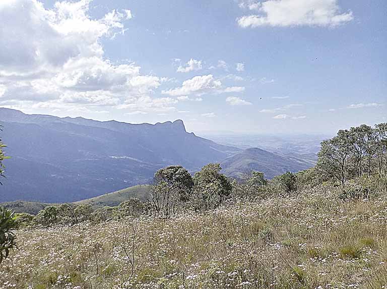 Lei amplia área protegida do Parque Serra do Papagaio