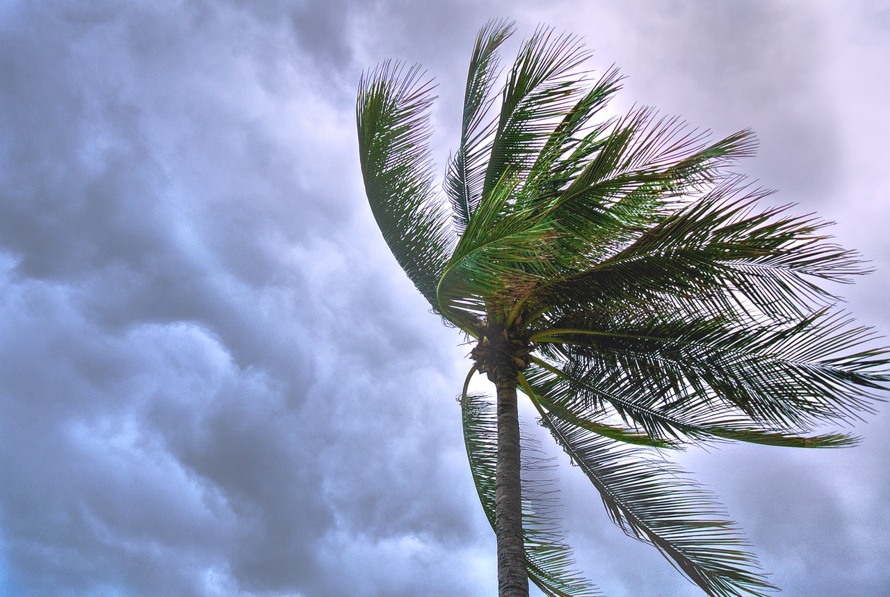 EDITORIAL | Quando passar a tempestade