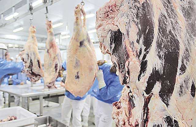 Embarques de carne bovina do País têm queda em janeiro