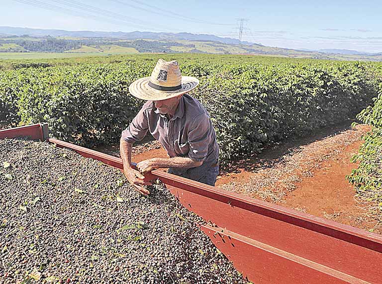 Contratações de crédito rural avançam 17% no Brasil e alcançam R$ 135,3 bilhões