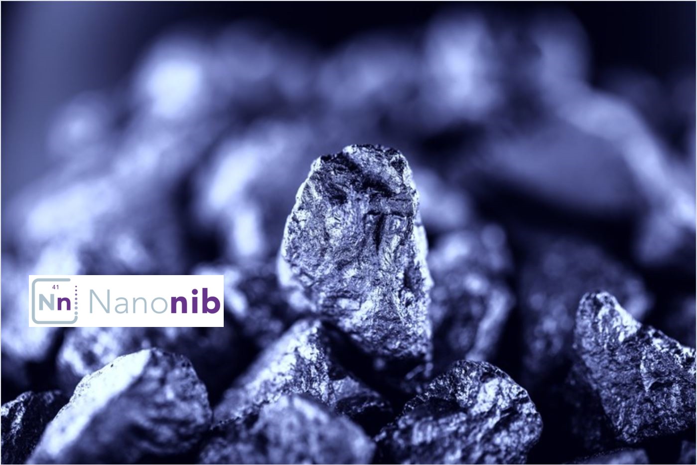 Nanonib apresenta projetos inéditos nos Emirados Árabes