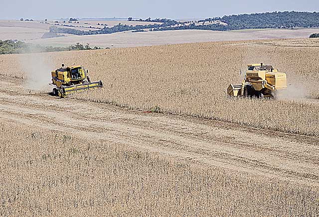 A produção de soja mineira está estimada em 6,7 milhões de toneladas, volume 8,7% maior | Crédito: Camila Domingues/Palácio Piratini