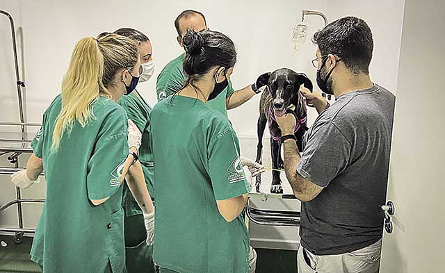 Hospital público veterinário é inaugurado em Belo Horizonte