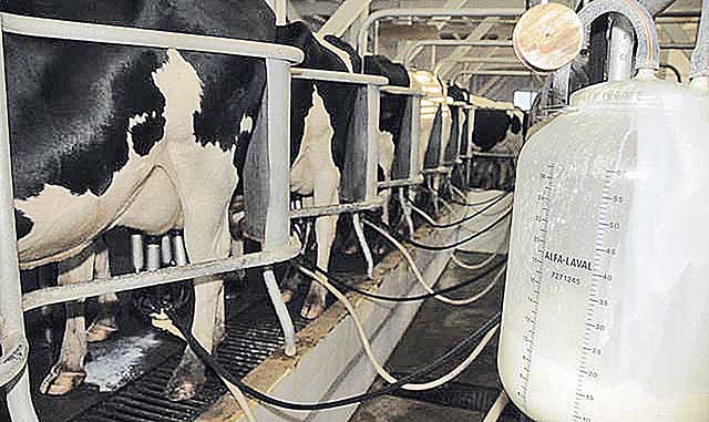 Margem de lucro cai com elevação nos custos para produzir leite