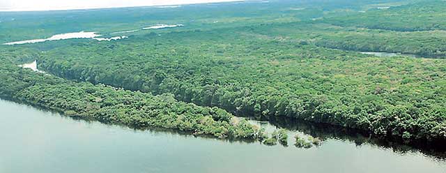 Qualidade da água é regular em 73% dos rios brasileiros
