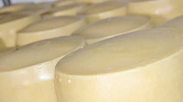 Queijo artesanal de Porteirinha recebe Selo Arte do IMA