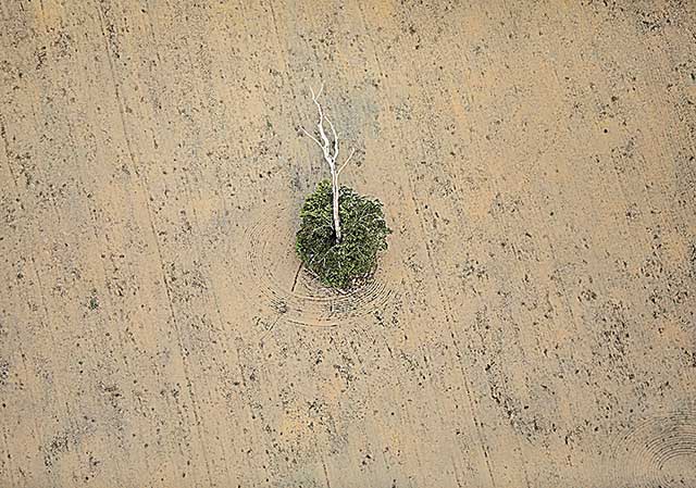 Carta repudia acordo ambiental com Bolsonaro