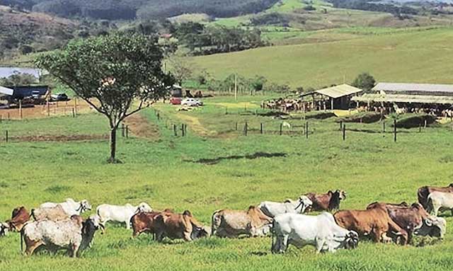Tecnologias alavancam lucro social da Embrapa