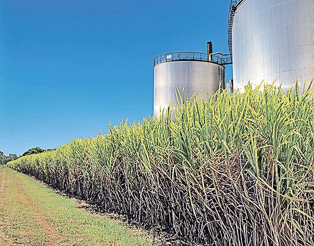 Venda de etanol na Índia pode beneficiar Brasil e Minas Gerais