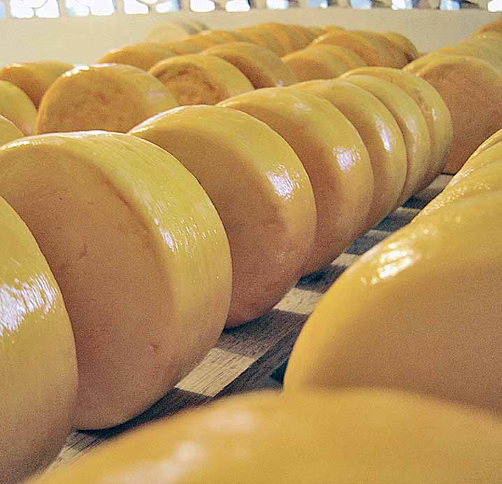 CNA vai premiar melhor queijo artesanal do Brasil