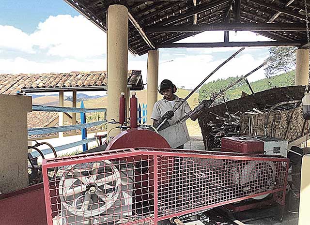 Tributação da cachaça pode aumentar com imposto seletivo
