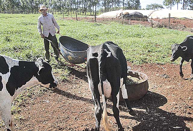 Cota de leite em merenda pode ajudar produtores familiares em Minas