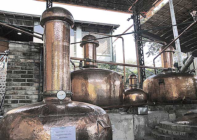 Informalidade no setor de cachaça pode crescer com Imposto Seletivo
