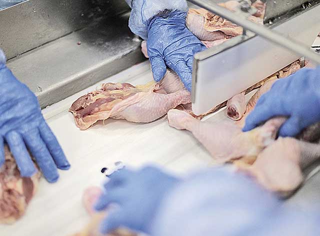 Com alta expressiva dos insumos, empresas de proteína animal informaram que devem repassar custos aos consumidores | Crédito: Ueslei Marcelino/Reuters