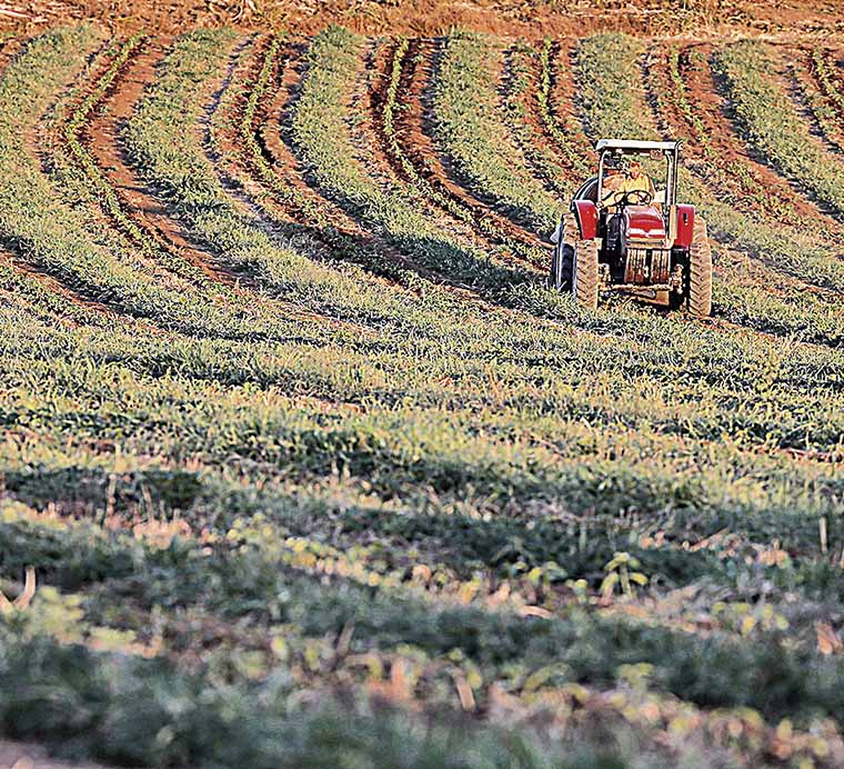 Desembolsos no País crescem 30% e já atingem R$ 188,4 bi na safra