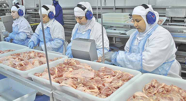 Menor validade de produtos de frango proposta por sauditas pode afetar setor