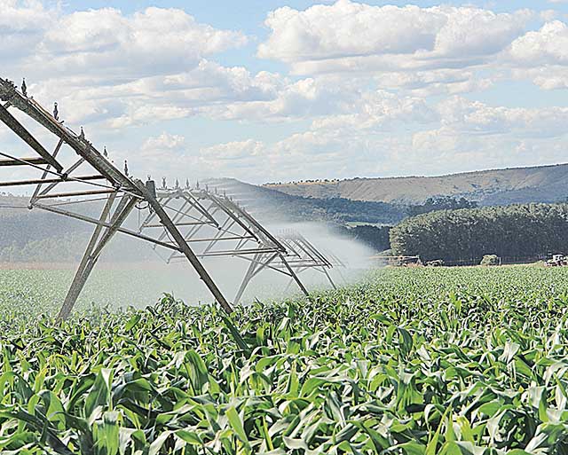 O Norte de Minas pode receber recursos do BNB para irrigação no campo | Crédito: Divulgação