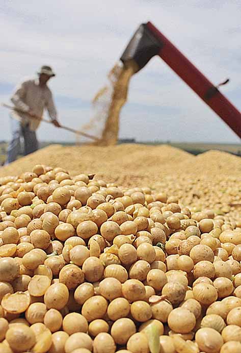 Produção de grãos deve subir 27% em 10 anos
